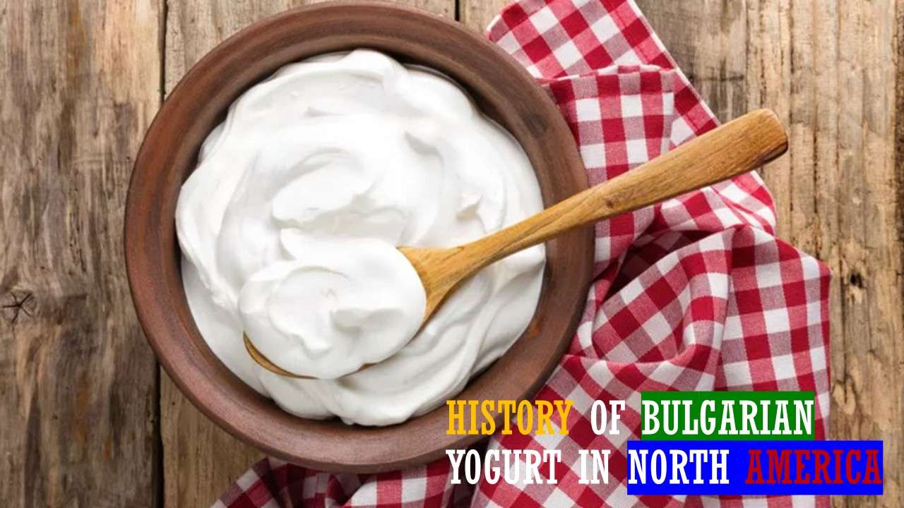 Bulgarian yoghurt in North America - the full story